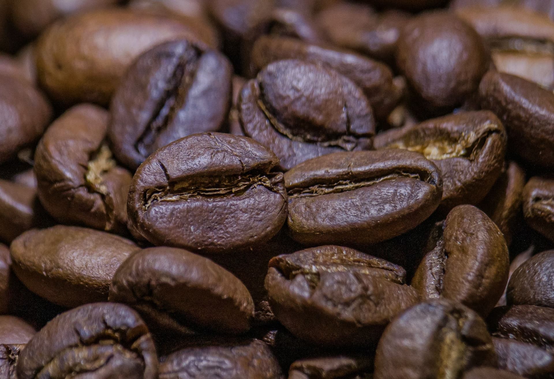 Coorg Coffee Trails