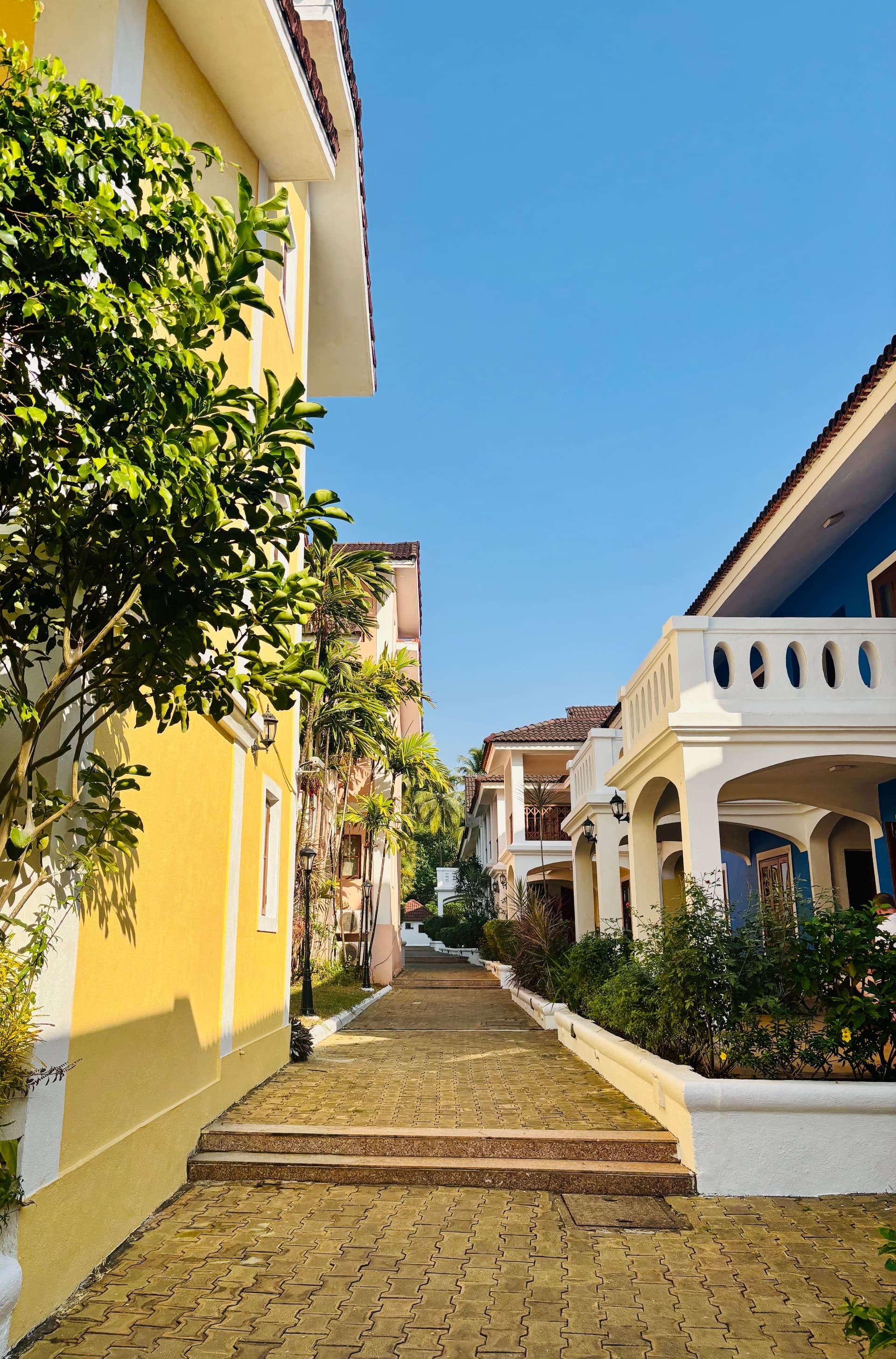 The Goa Circuit